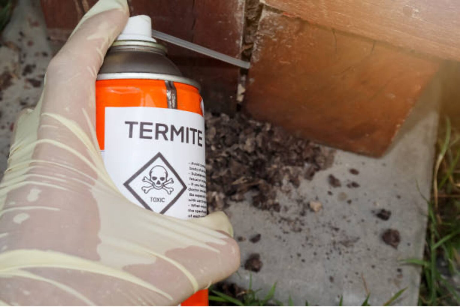 Which Termite Treatment is Best For Your Home? | Connor's Pest Pros