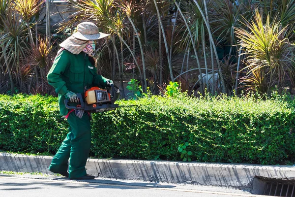Woman in protective gear trimming a bush to remove rodent hiding spots and nesting areas