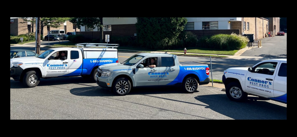 Three Connor's Pest Pros service vehicles parked on a street ready for same-day rodent control