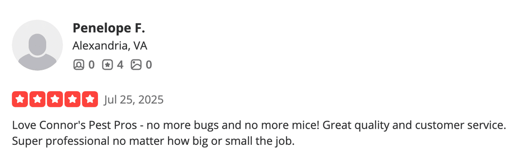 Review highlighting Connor’s Pest Pros' exceptional expertise and customer service