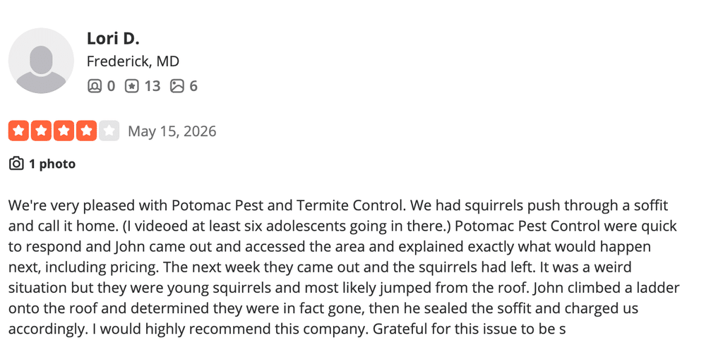 Review highlighting Potomac Pest & Termite assistance with rodent control