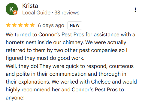 Five-star Google review praising Connor's Pest Pros for friendly, thorough pest control service.