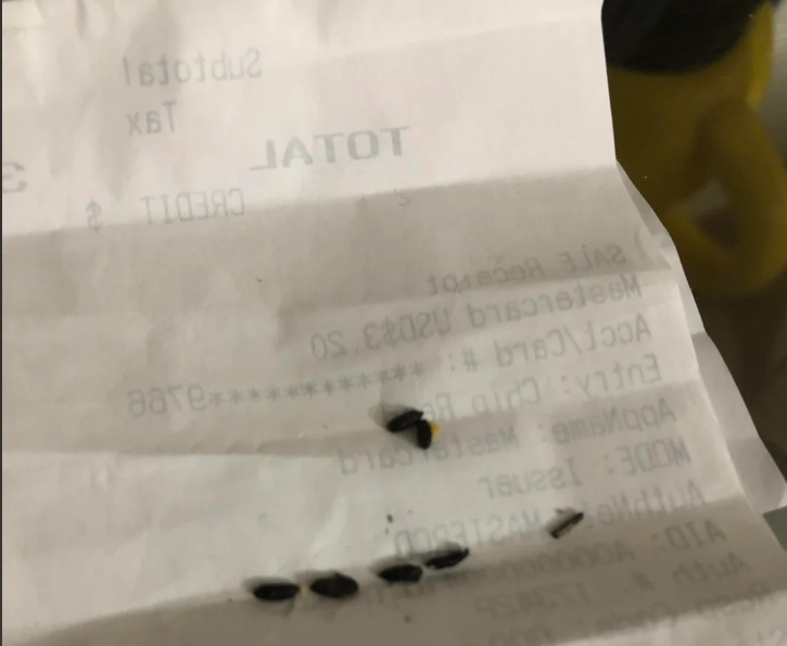 Black mouse droppings with pointed ends scattered across a white paper receipt