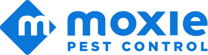Moxie Pest Control branding shown above details of its nationwide branches and year-round protection plans
