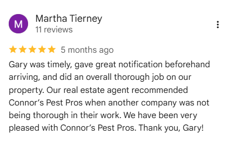 Five-star Google review praising Connor's Pest Pros for professional same-day pest control service