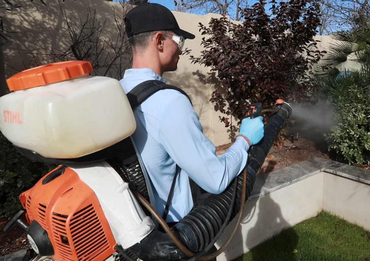 Professional pest control technician inspecting a property