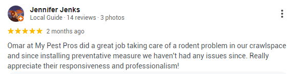 A customer commends how My Pest Pros helped deal with their rodent issue