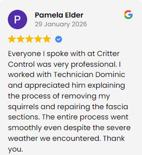 A review given to Critter Control, highlighting their professional and smooth services.