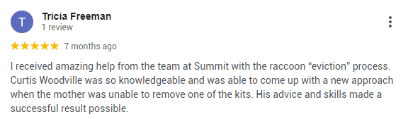 A customer review given to Summit Wildlife Removal that stresses the company’s assistance in evicting raccoons