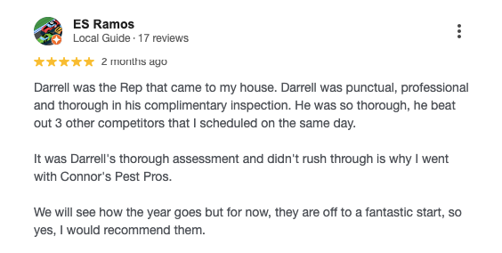 Five-star Google review for Connor's Pest Pros wildlife removal service.