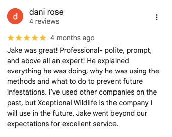 Image of a customer review for Xceptional Wildlife Removal. 