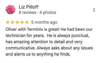 Image of a customer review for Terminix. 