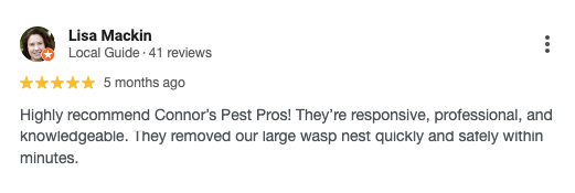 Image of a customer review for Connor’s Pest Pros. 