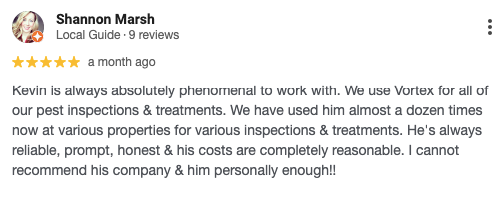 Image of a customer review for Vortex Termite and Pest Control. 