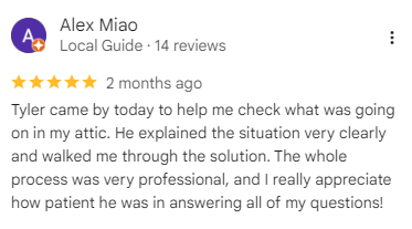 Environmental Pest Control customer feedback regarding attic services