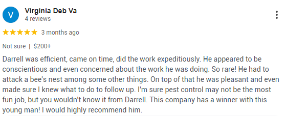 Review praising Connor's Pest Pros for effective bee nest removal