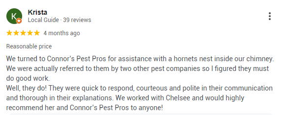 A customer review that applauds Connor’s Pest Pros’ quick and effective solution. 