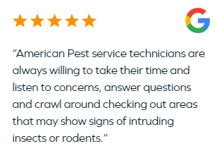A customer review that highlights American Pest’s thoroughness 
