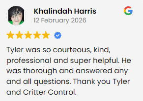A customer review that highlights the professional and helpful services of Critter Control