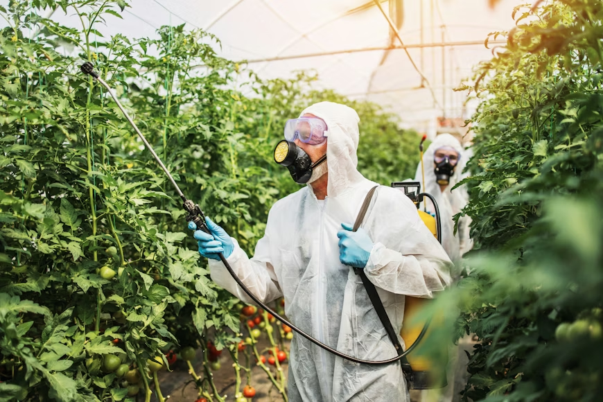 Two pest control technicians in protective suits and respirators applying barrier treatment with backpack sprayers.