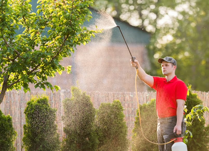Man in a red polo using a handheld sprayer to apply organic pest treatment to a backyard tree.