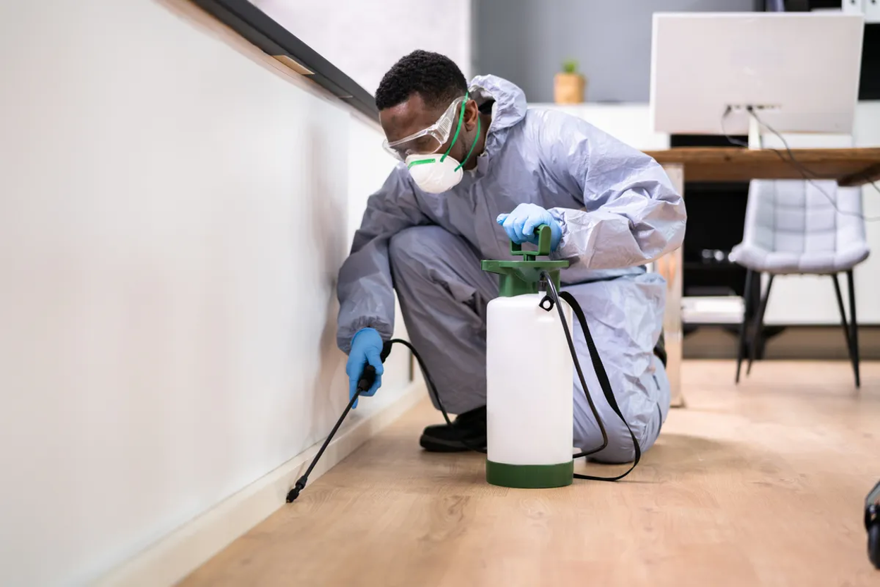 Pest control technician in a protective suit spraying insecticide along the kitchen baseboards to eliminate ants