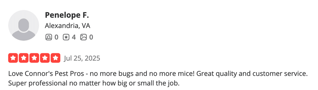 Review highlighting how Connor’s Pest Pros helped with bug and mouse issues 