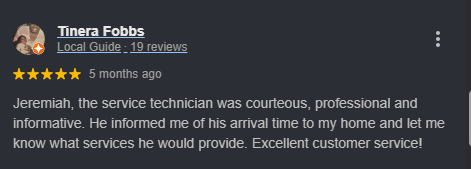 Customer review of the Miche Pest Control with testimonial text describing technician courtesy.