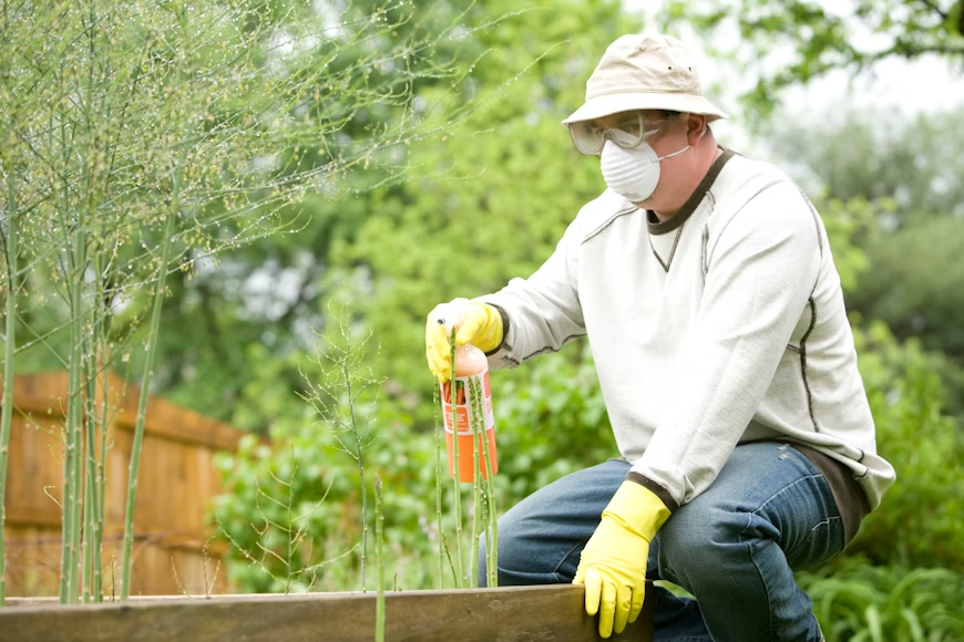 Man in a beige bucket hat, safety goggles, dust mask, cream sweatshirt, jeans, and yellow rubber gloves carrying out a home termite inspection.