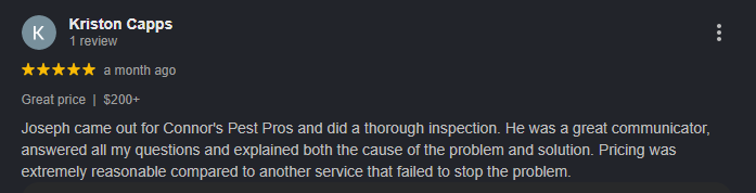 Five-star Google review screenshot for Connor's Pest Pros termite inspection services in Fairfax, Virginia.
