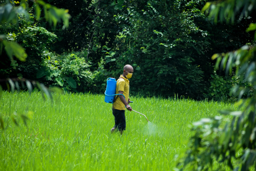Worker in yellow shirt and face mask spraying yard pesticide with a backpack sprayer in tall green grass.