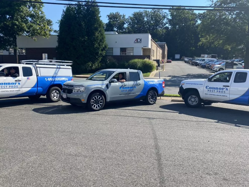 Three Connor's Pest Pros branded service trucks parked together with technicians ready for pet-safe pest control calls.