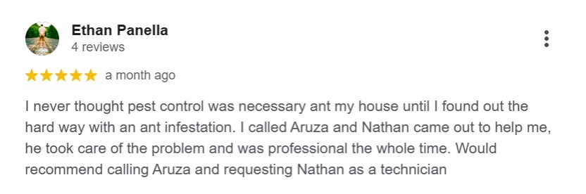 Google review praising Aruza Pest Control technicians for ant infestation service. 