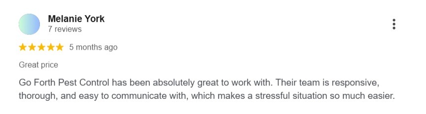 Five-star Google review praising Go-Forth Pest Control for responsive service. 