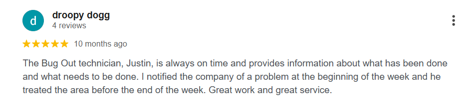 A 5-star Google review praising Bug Out technician for punctual service and clear communication.