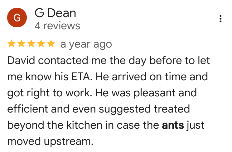 Google’s 5-star customer review describing a positive experience with a Connor’s Pest Pros technician who arrived on time, worked efficiently, and provided additional treatment recommendations to help prevent ant infestations. 
