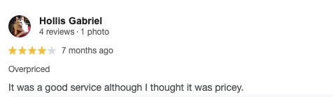 Screenshot of a customer’s review for Mosquito Squad of the Triad. 