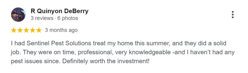 Google review praising Sentinel Pest Solutions for professional pest treatment with lasting results. 