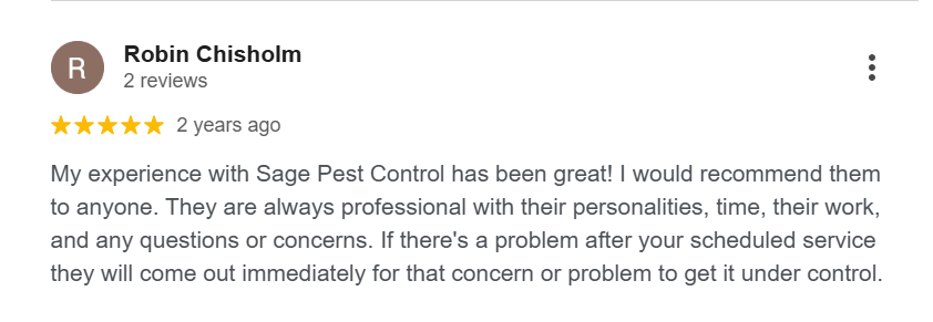 Google review praising Sage Pest Control for professional and responsive service. 