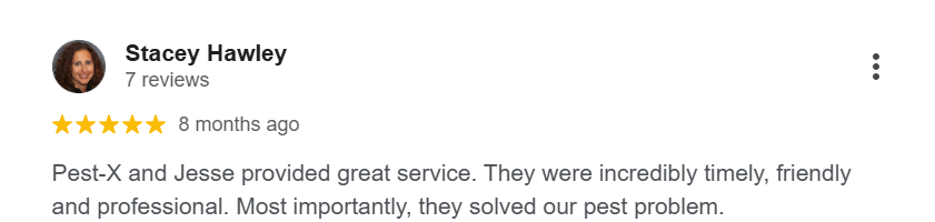 Google review praising Pest-X Exterminating for timely, professional pest control service. 