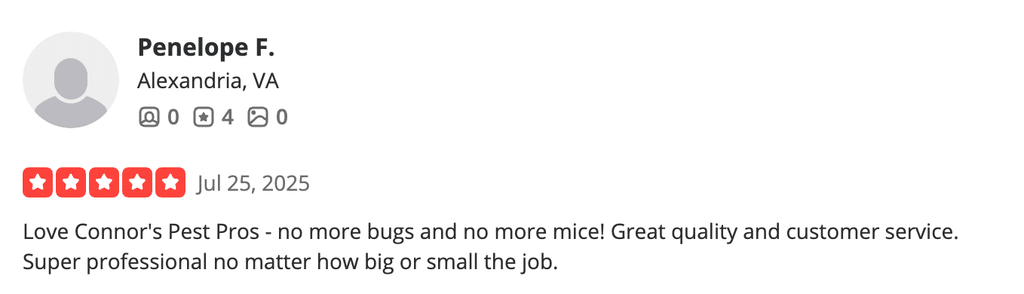 Review highlighting how Connor’s Pest Pros helped with a bug and mouse problem 