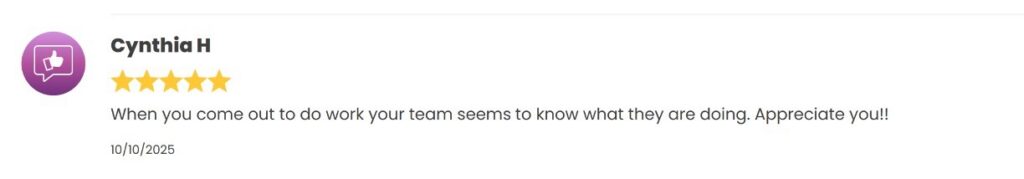 Customer review commending the technical team's expertise. 