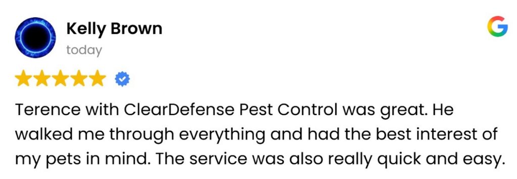 Google review mentioning pet-friendly pest control service.