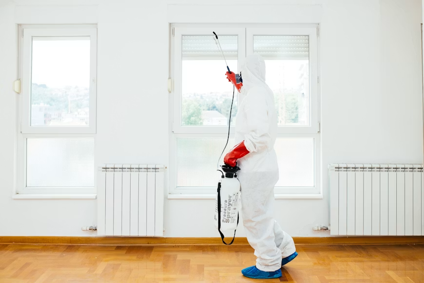 Pest control technician in a white hooded hazmat suit, red gloves, and blue shoe covers spraying pesticide along the top of a window frame with a pressure sprayer wand.