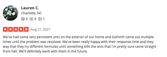 Screenshot of a customer’s review for Go-Forth Home Services. 