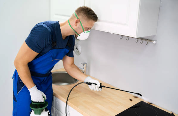 An expert exterminator fumigating a house with mice and termite infestation. 