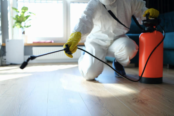 A pest control specialist treating a termite-infested house. 