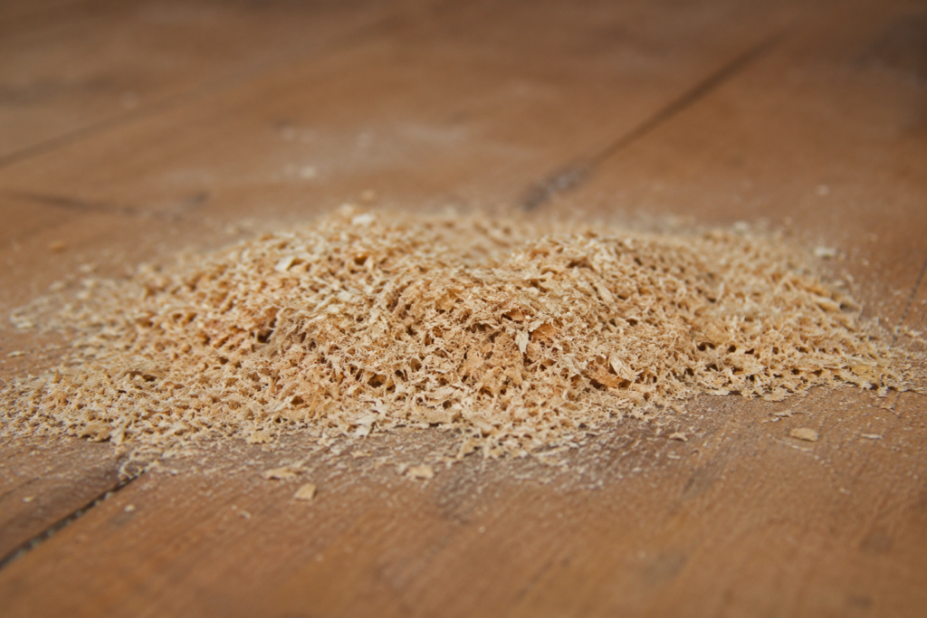 Close-up view of a small pile of sawdust, showing the thin slivers. 