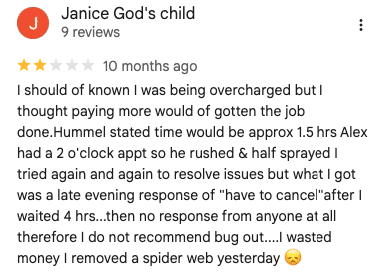 Screenshot of a user’s 2-star review for Bug Out. 