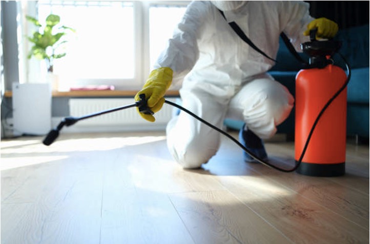 An exterminator applying mosquito control treatment in a Lake Jeanette home